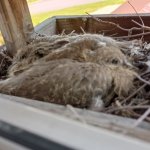 phoca_thumb_m_006 5 Fotogalerie
